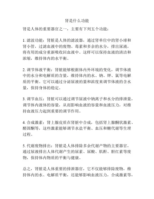 肾是什么功能