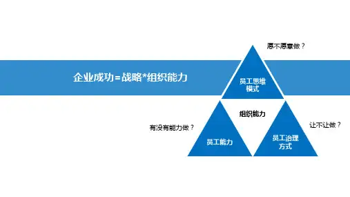 组织能力的杨三角课件