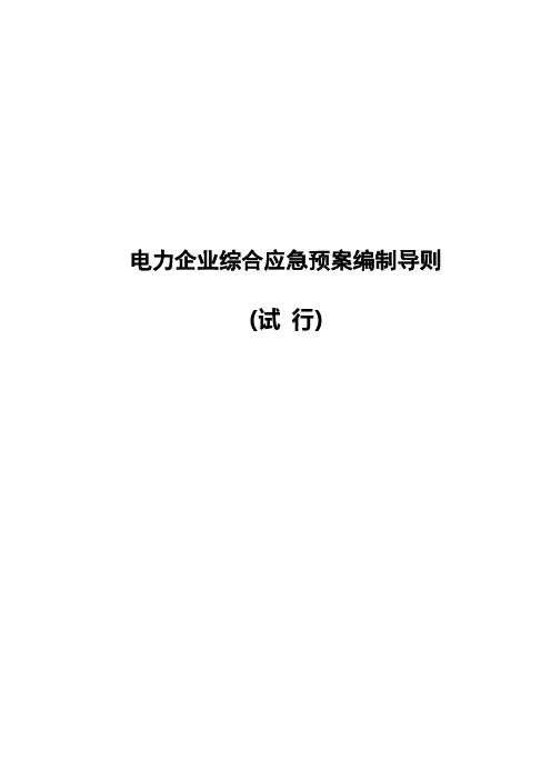 《发电企业应急预案编制导则》.pdf
