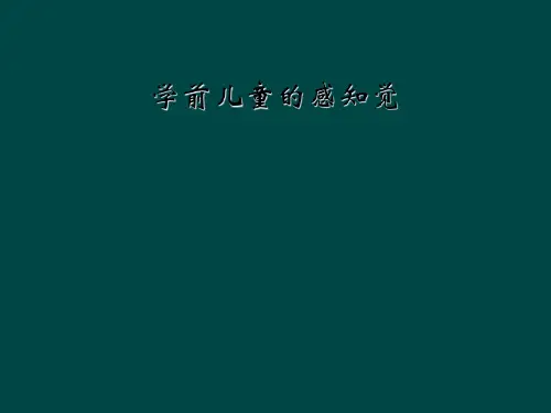学前儿童的感知觉