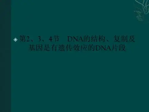 金版人教生物必修二：3-2、3、4(课件)