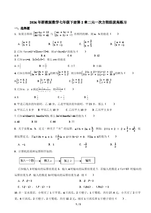 2024年浙教版数学七年级下册第2章二元一次方程组拔高练习(含简单答案)