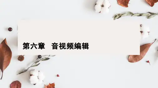 第六章音视频编辑《网络编辑》PPT课件