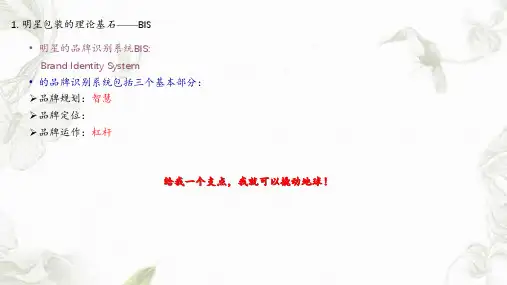 最新明星包装策划方案演示精选