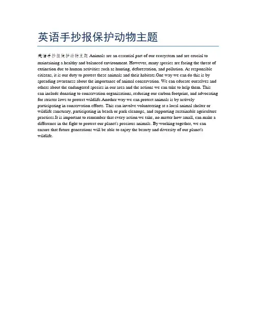 英语手抄报保护动物主题
