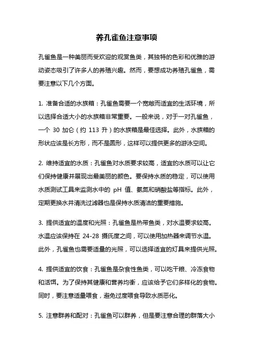养孔雀鱼注意事项