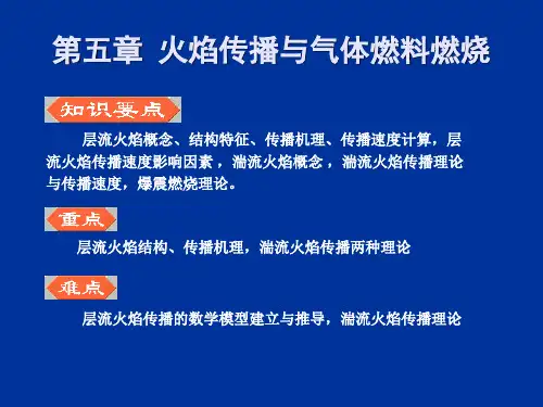 燃烧学-第五章