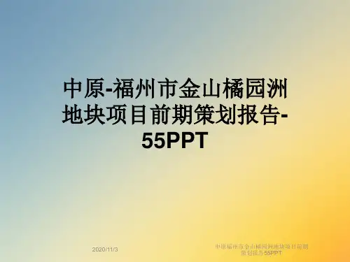 中原福州市金山橘园洲地块项目前期策划报告55PPT