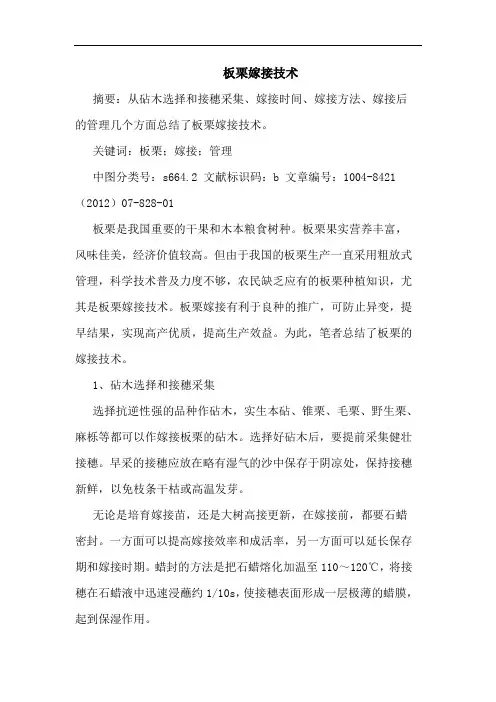 板栗嫁接技术