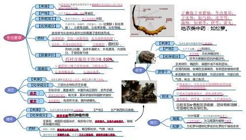 中药鉴定学笔记4
