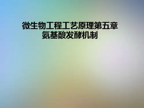 微生物工程工艺原理第五章氨基酸发酵机制
