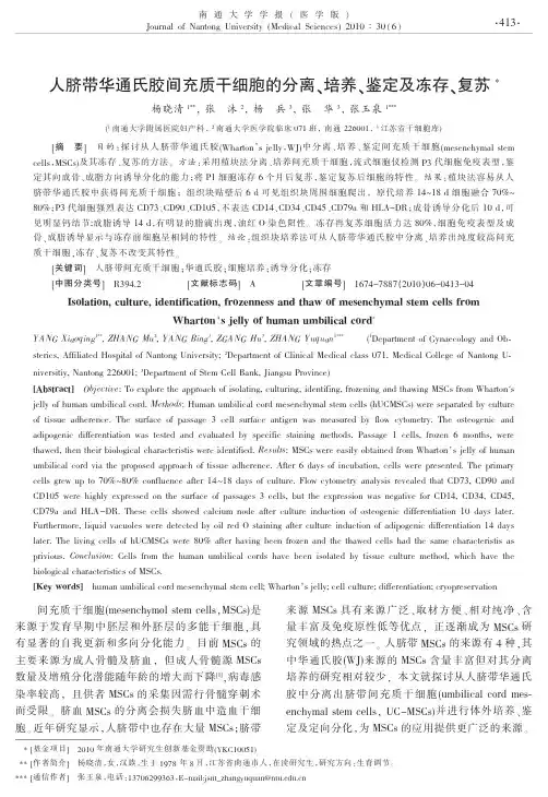 人脐带华通氏胶间充质干细胞的分离_培养_鉴定及冻存_复苏
