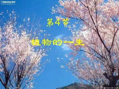 第4节植物的一生1