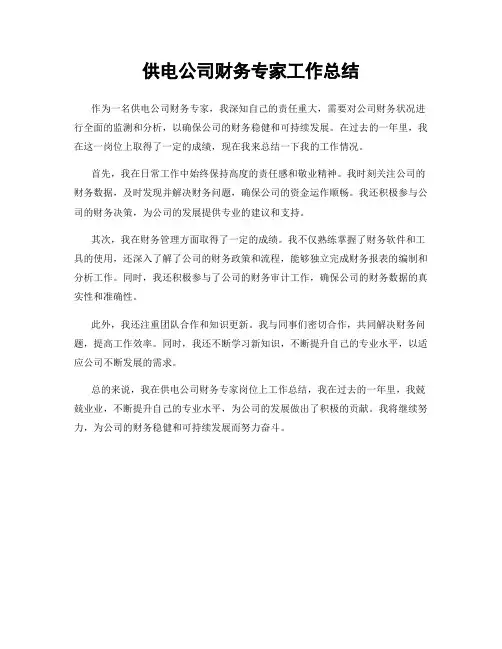 供电公司财务专家工作总结