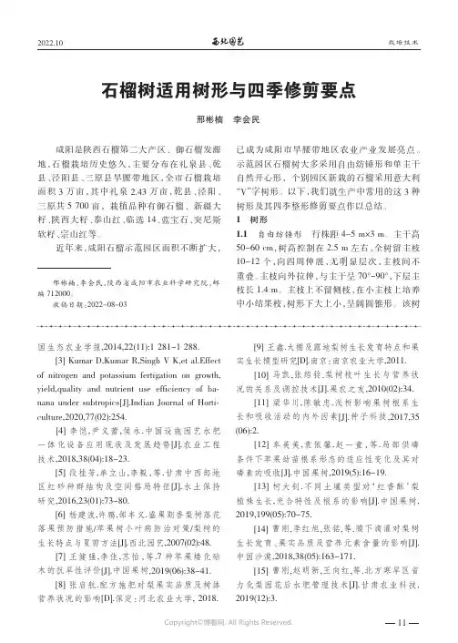 石榴树适用树形与四季修剪要点