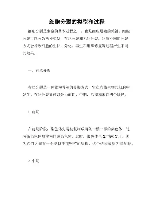 细胞分裂的类型和过程