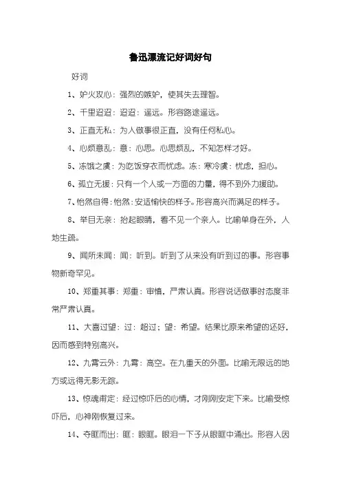 鲁迅漂流记好词好句