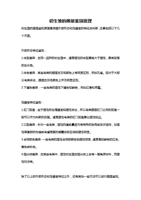 初生雏的雌雄鉴别原理