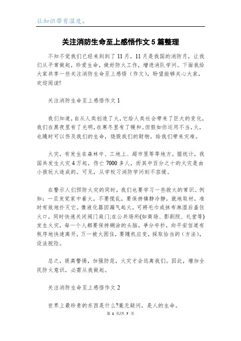 关注消防生命至上感悟作文5篇整理