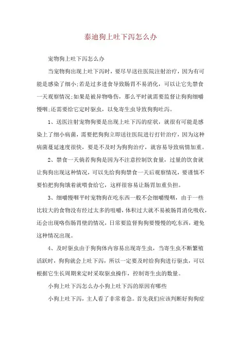 泰迪狗上吐下泻怎么办