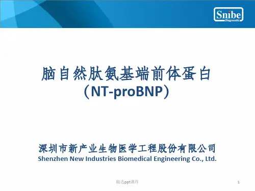 NT-proBNP(脑钠肽)临床意义
