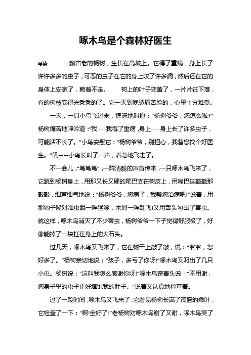 啄木鸟是个森林好医生
