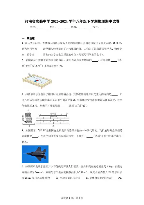 河南省实验中学2023-2024学年八年级下学期物理期中试卷