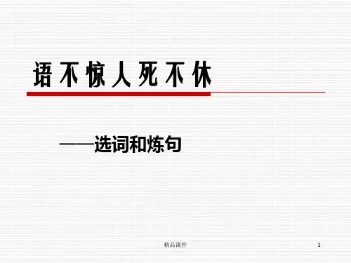 《语不惊人死不休——选词和炼句》课件