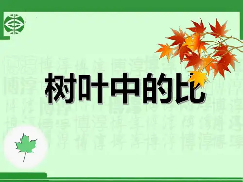 六年级上册数学课件-3 树叶中的比丨苏教版 (共24张PPT)