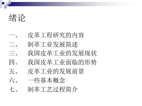 第0章皮革工程绪论