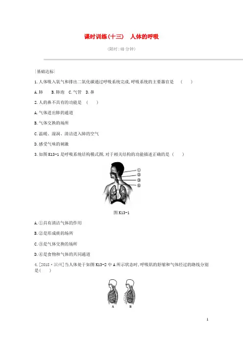 2019年中考生物专题复习四生物圈中的人课时训练13人体的呼吸新人教版20190111483