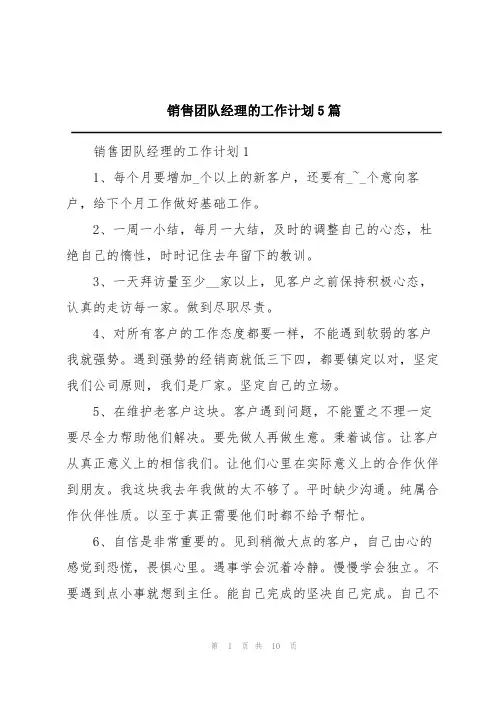 销售团队经理的工作计划5篇