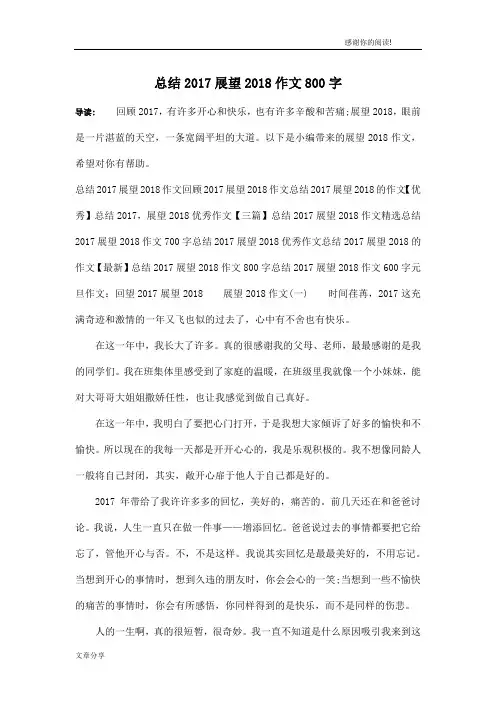 总结2017展望2018作文800字