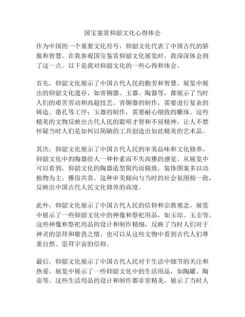 国宝鉴赏仰韶文化心得体会