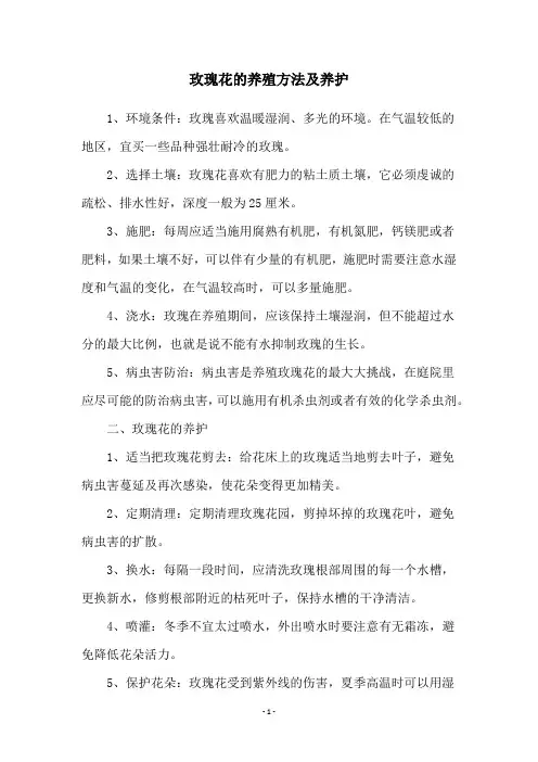 玫瑰花的养殖方法及养护