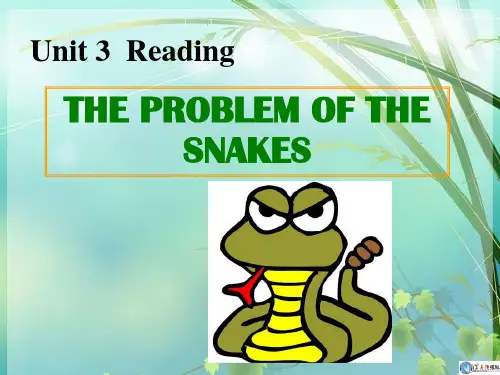 人教版高中英语选修8 Unit 3 Reading PPT课件 图文