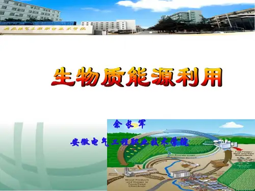 生物质能源利用ppt课件