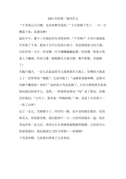 2024年的第一场雪600字作文