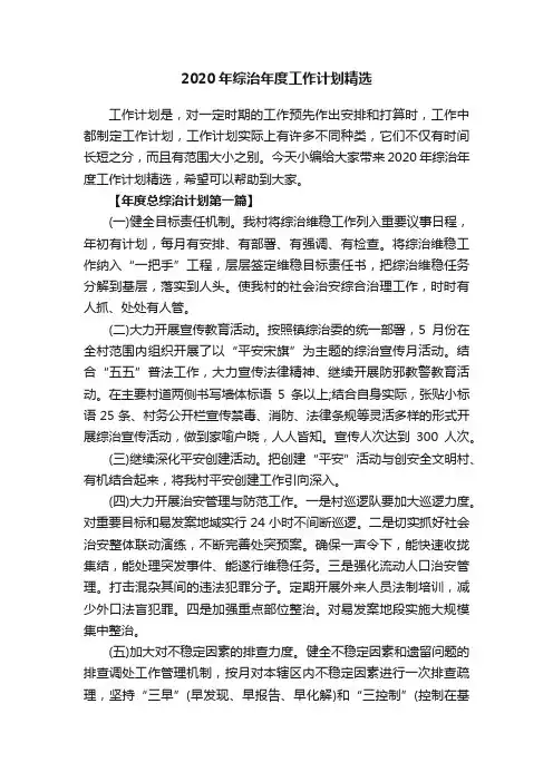 2020年综治年度工作计划精选
