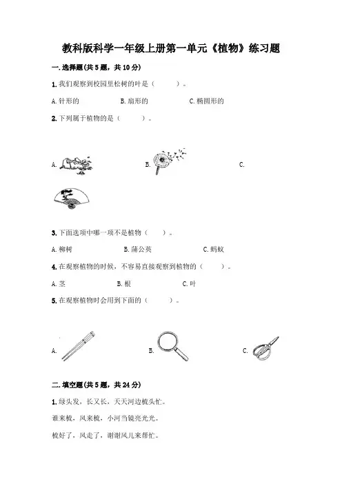 教科版科学一年级上册第一单元《植物》练习题丨精品(网校专用)
