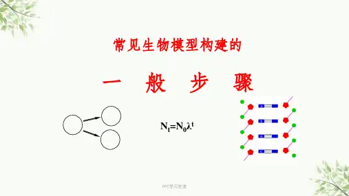 常见生物模型构建的一般步骤课件