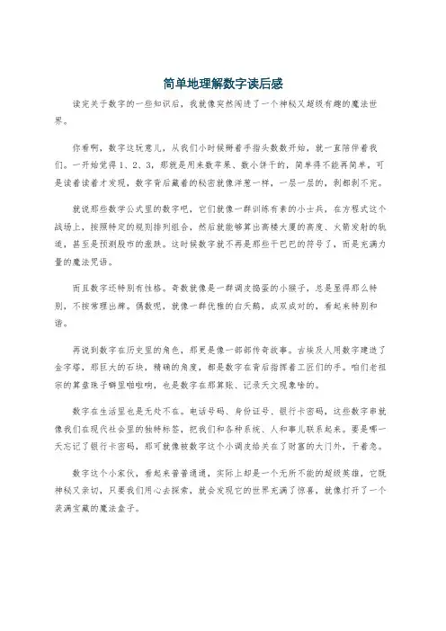 简单地理解数字读后感