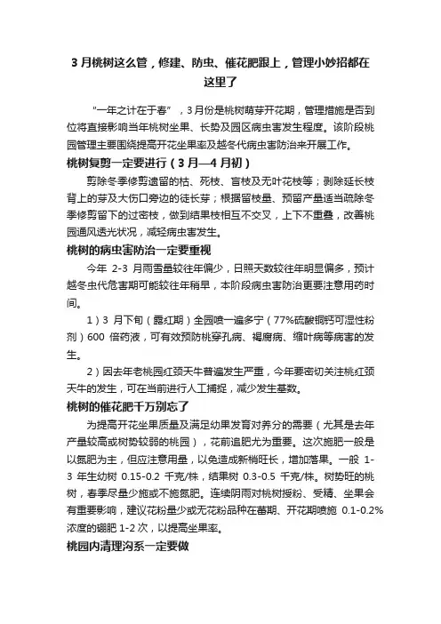 3月桃树这么管，修建、防虫、催花肥跟上，管理小妙招都在这里了