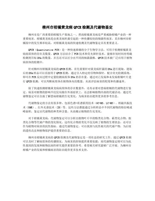 柳州市柑橘黄龙病QPCR检测及代谢物鉴定