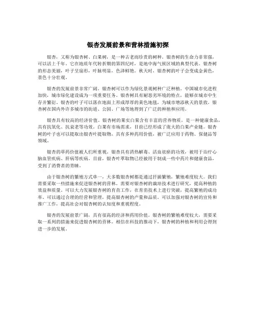 银杏发展前景和营林措施初探