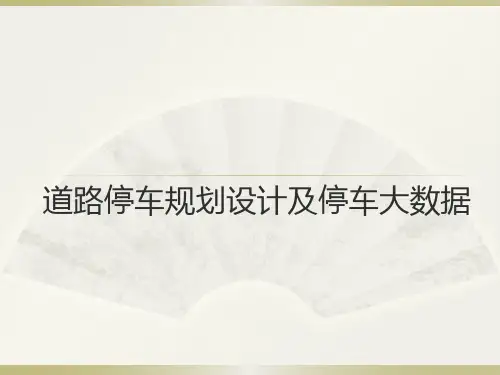 道路停车规划设计及停车大数据