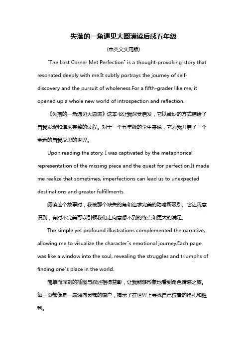 失落的一角遇见大圆满读后感五年级