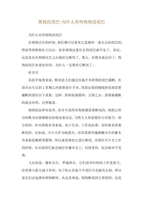 黑狗没尾巴-为什么有些狗狗没尾巴