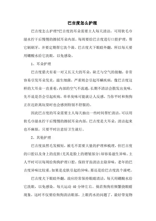 巴吉度怎么护理