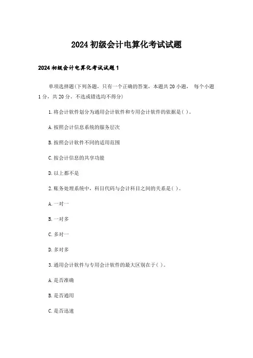 2024初级会计电算化考试试题